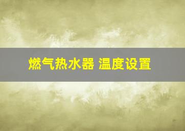 燃气热水器 温度设置